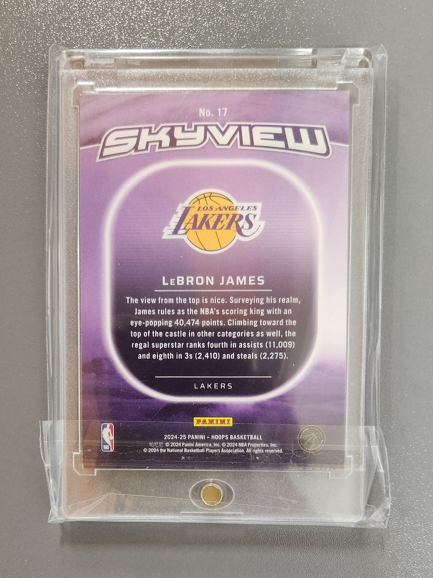 LeBron James NBA HOOPS Skyview 1/1 Custom